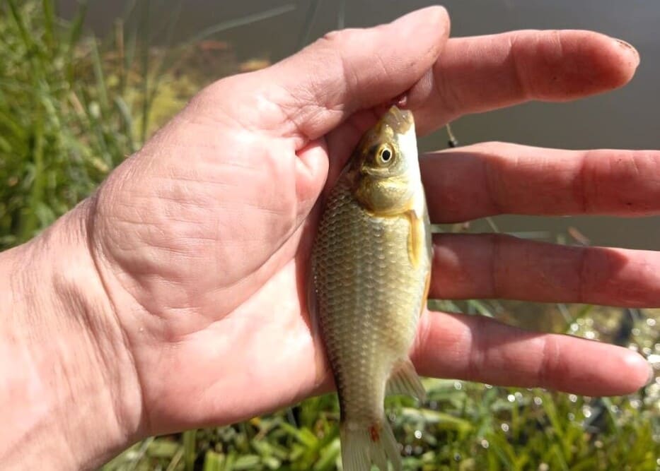 Офисы по адресу 